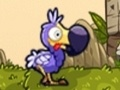 Save The Dodos