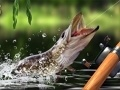 Morning catch