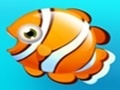 Fish Resort