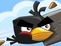 Crazy Birds