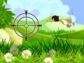 Duck Shooter 