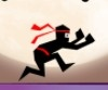 The Speed Ninja 