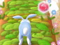 Hop Don't Stop!