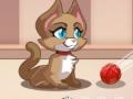 Kitty Bubbles 
