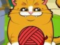 Playful Kitty