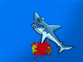 Shark Attack