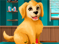 Become a Puppy Groomer
