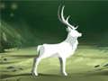 Purify the Last Forest
