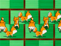 Shiba rescue : dogs and puppies