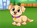 My Puppy Play Day