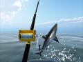 Azure Sea Fishing