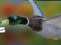 Duck Hunter Autumn forest 