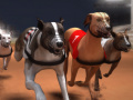 Greyhound Racing