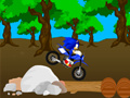 Cross Sonic Race 