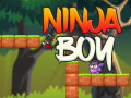 Ninja Boy