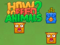 How to Feed Animals?