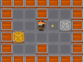 Ninja vital Treasure