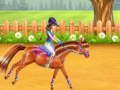 Horse Care and Riding
