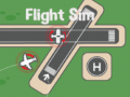 Flight Sim