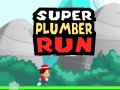 Super Plumber Run