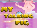 My Talking Pig