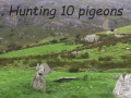 Pigeons Hunting