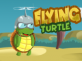 Flying Turtle