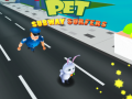 Pet Subway Surfers