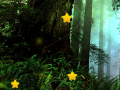Hidden Stars