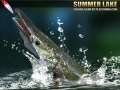 Summer Lake