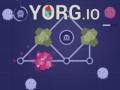 Yorg.io