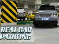 Real Car Parking