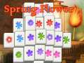Spring Flower