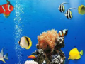 Sea Underwater Difference