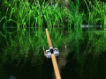 Green Lake 