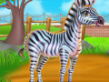 Zebra Caring