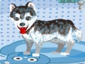 My Cute Dog Bathing