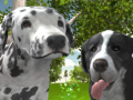 Dog Simulator 3d