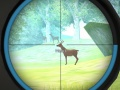 Hunter Training