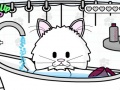 Pampered Paws: Kitty Care