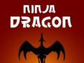 Ninja Dragon
