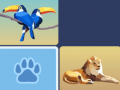 Wild Memory Match