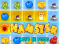 Hamster Lost In Food