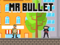 Mr Bullet