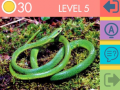 15 Picture Quiz