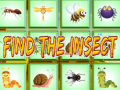 Find The Insect