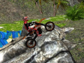 Xtreme Trials Bike 2019
