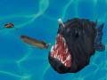Fish 3d