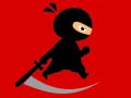 Mr Ninja Fighter