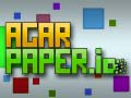Agar Paper.io
